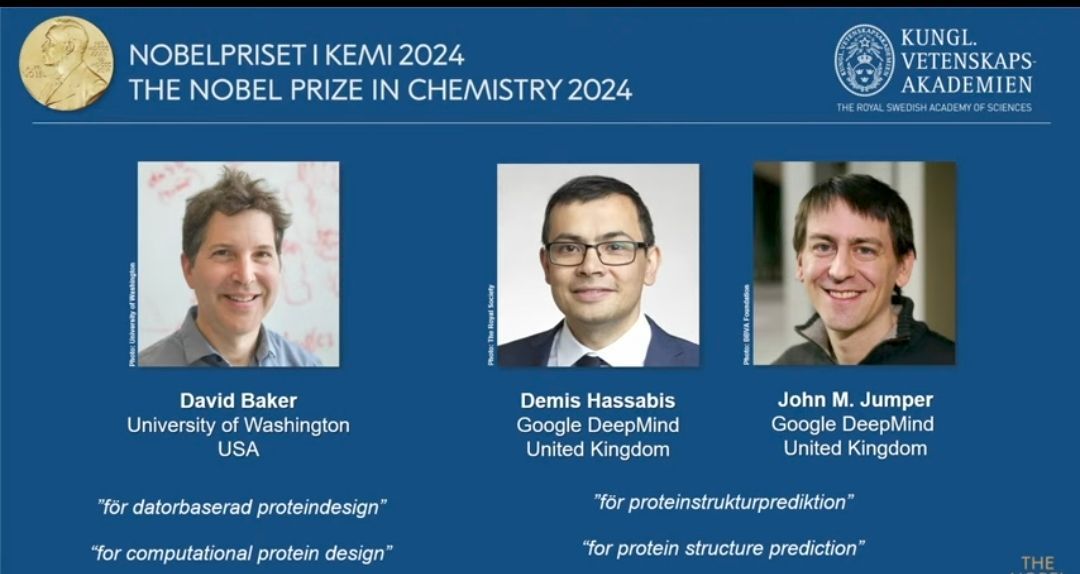 2024年诺贝尔化学奖获得者破解了蛋白质惊人结构的密码